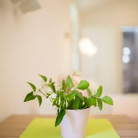 Apartman In Historic Center - Mikula, Ljubica, Toma *